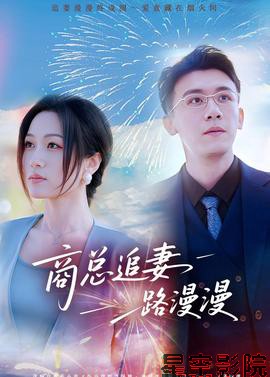 商总追妻路漫漫