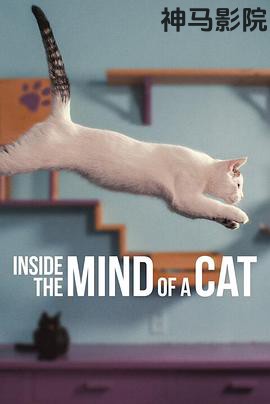 喵星人的奇思妙想