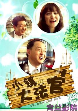 小镇大法官 2012
