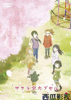 樱花树下的时间胶囊