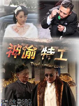 神偷特工