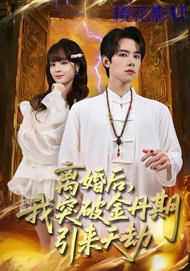 离婚后，我突破金丹期，引来天劫