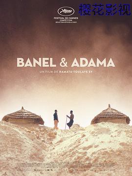 贝内尔和阿达玛