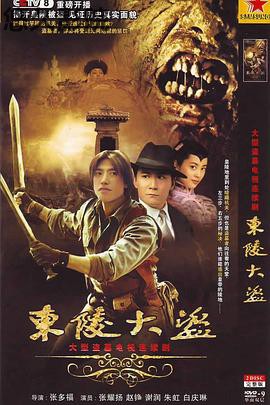 东陵大盗2008