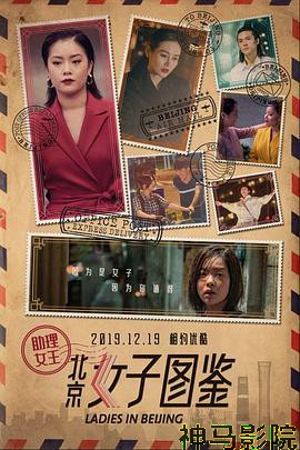 北京女子图鉴之助理女王
