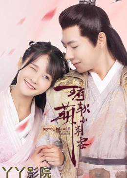 王府软萌小刺客