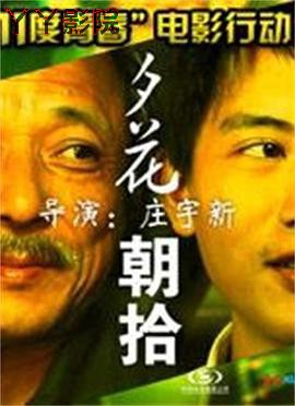 11度青春之《夕花朝拾》