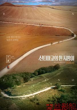 圣地亚哥的白拐杖