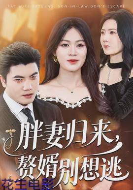 胖妻归来，赘婿别想逃
