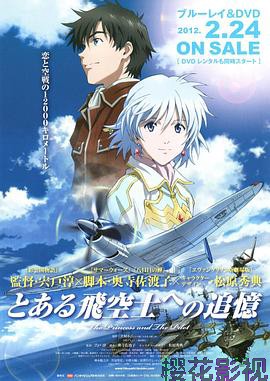 对某飞行员的追忆