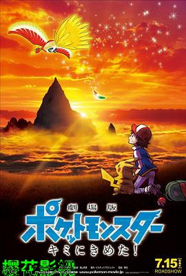 精灵宝可梦：就决定是你了