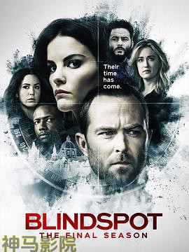 盲点第五季