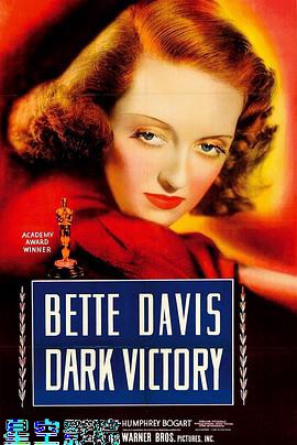 黑暗的胜利