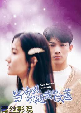 当海风吹过我的坟墓