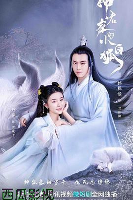 神君家的小白狐