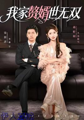 我家赘婿世无双