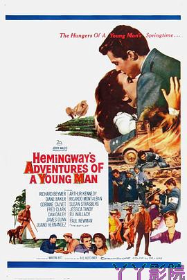 一个年轻人的冒险