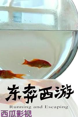 11度青春之《东奔西游》