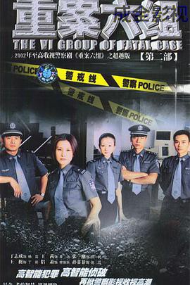 重案六组2