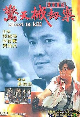 重案实录之惊天械劫案