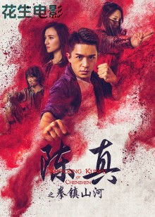 陈真之拳镇山河