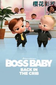 宝贝老板：返宝还童