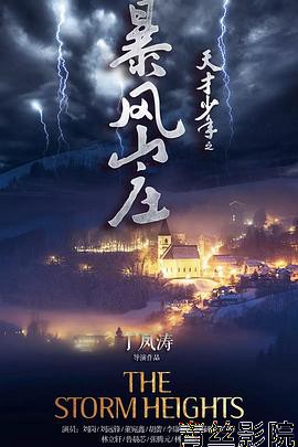 天才少年之暴风山庄