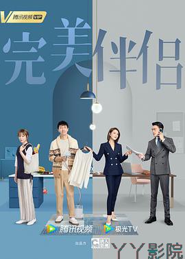 完美伴侣