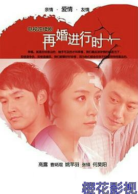 再婚进行时