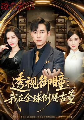 透视御瞳：我在全球倒腾古董