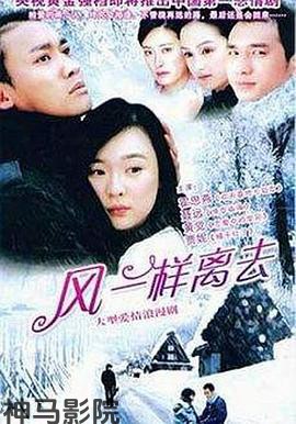 像风一样离去