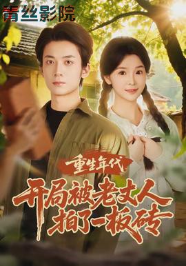 重生年代开局被老丈人拍了一板砖