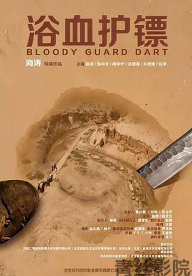 浴血护镖
