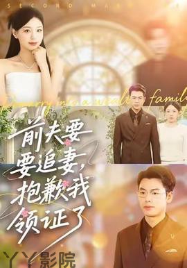 前夫要追妻，抱歉我领证了